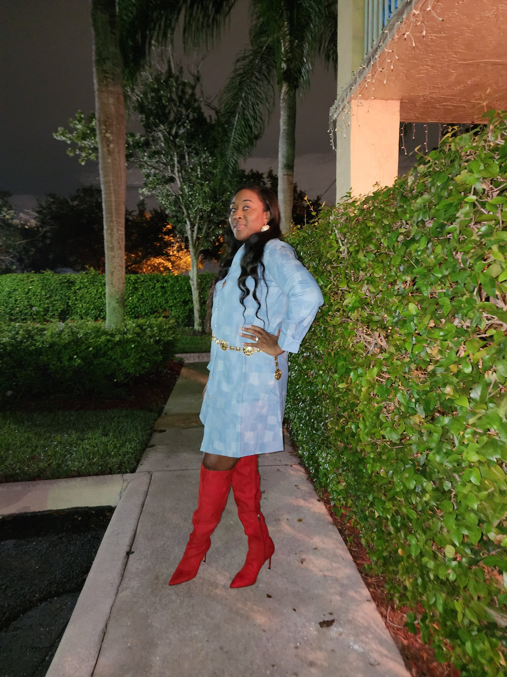 Patrice Denim Dress