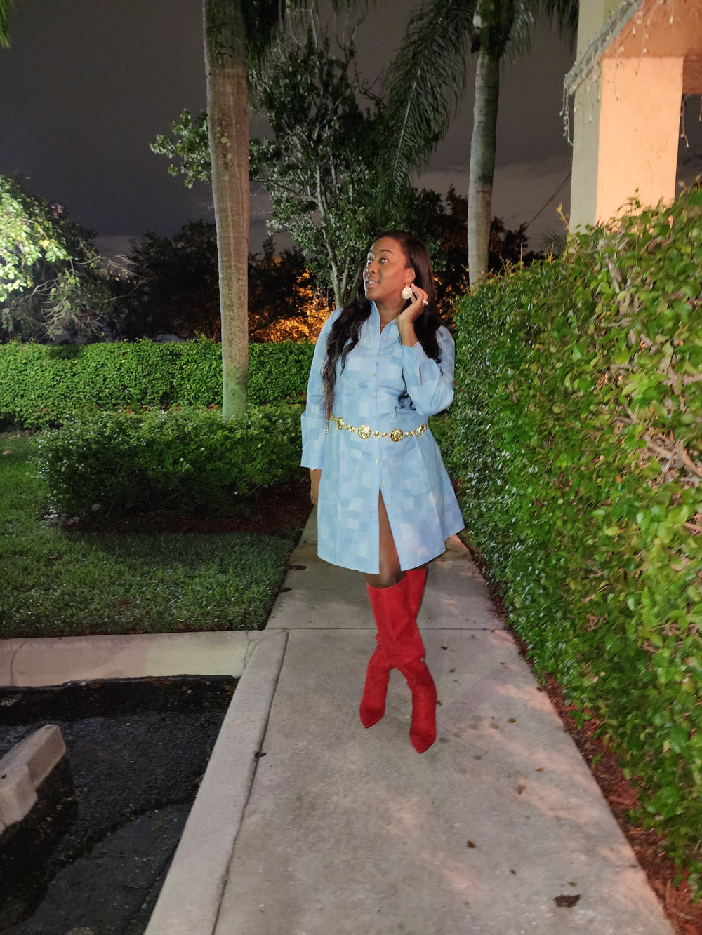 Patrice Denim Dress