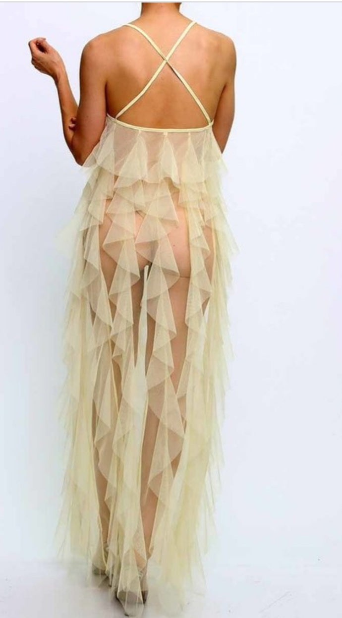 Cover me up sheer dress